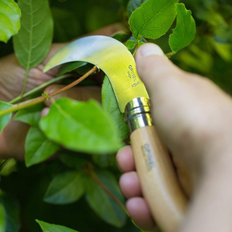 Opinel No. 10 Pruning Folding Knife - Stainless Steel for Pruning, Grafting, Orchards, Vineyards, and Gardening - Image 4